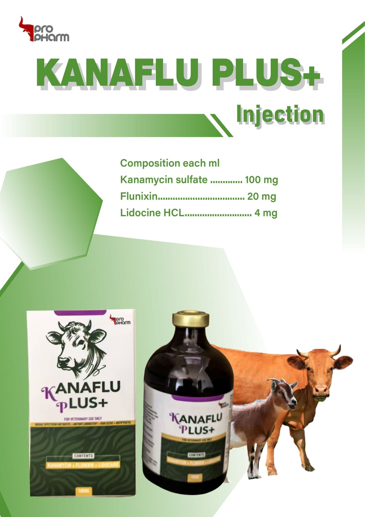 Kanaflu Plus