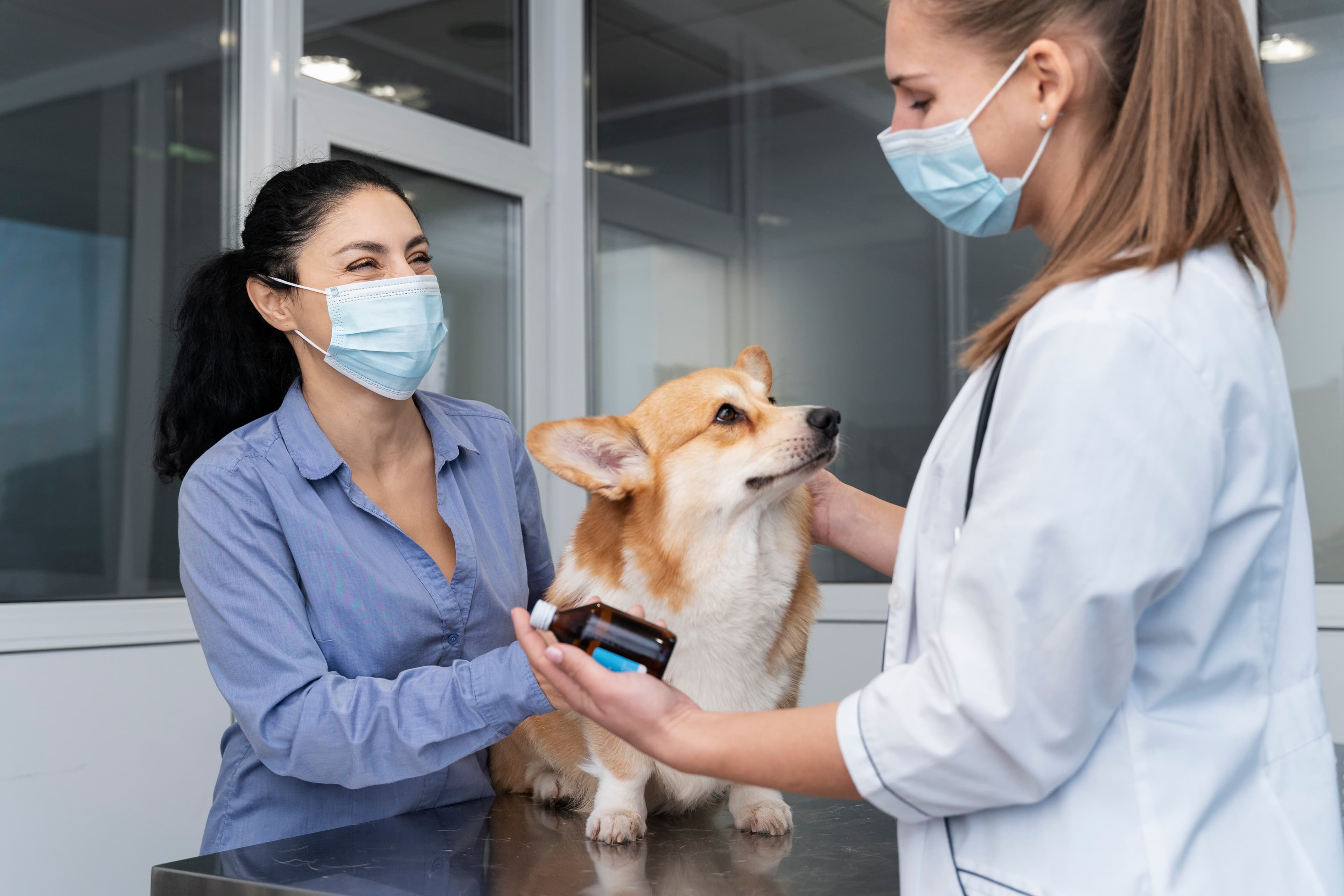 Veterinary Marketing
